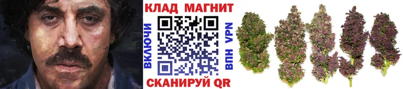 Что такое Короча COCAIN  Амфетамин  Конопля 