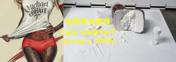 прущие грибы Богородицк