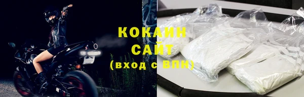 бошки Богданович