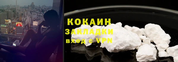 прущие грибы Богородицк