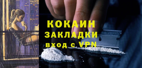 стаф Белокуриха