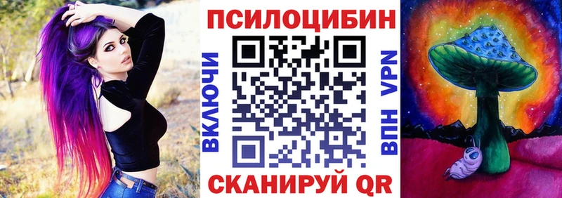 Псилоцибиновые грибы Psilocybe  Короча 